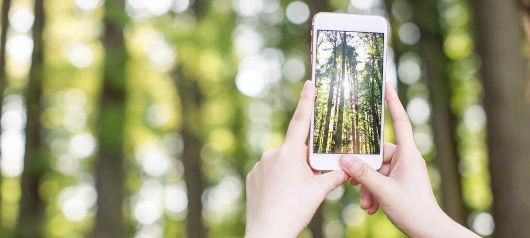 Photo - Smartphone - Bouygues Telecom