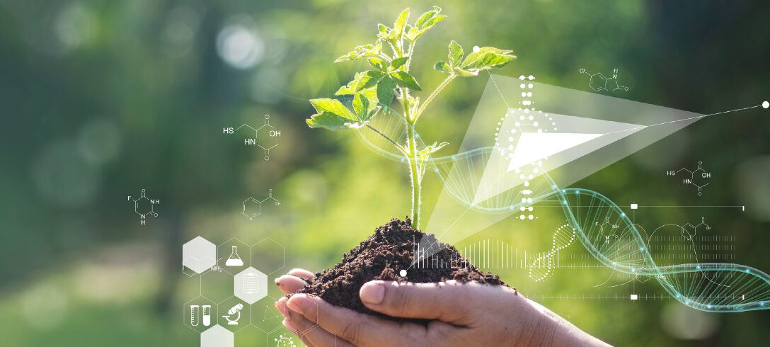 ecogestes_ecowatt